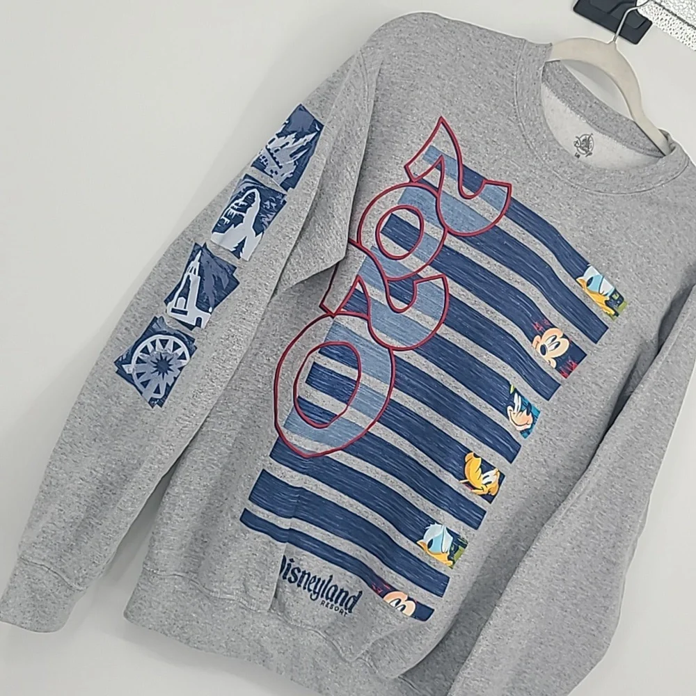 Disneyland resort 2020 crewneck sweatshirt gray small unisex - Picture 6 of 8